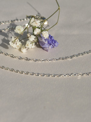 Цепочка Ц091